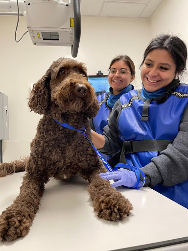 Veterinary Emergency Group image