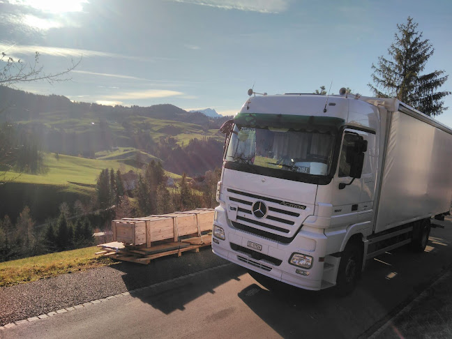 Rezensionen über WMS Logistik Salzmann in Schwyz - Kurierdienst