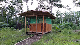 Ecotours Ponal, Tambopata