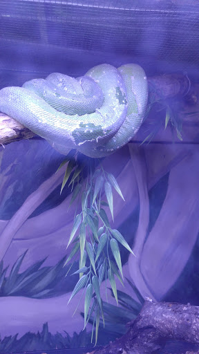 Zoo «Lake Superior Zoo», reviews and photos, 7210 Fremont St, Duluth, MN 55807, USA