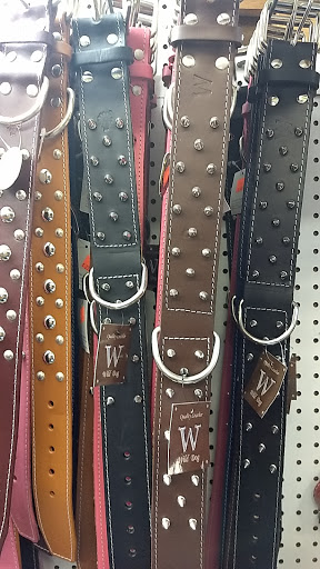 Pet Store «34 Pet Shop», reviews and photos, 3434 W Slauson Ave, Los Angeles, CA 90043, USA