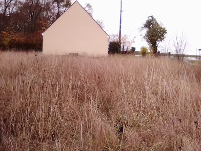 Sociovision à Chalmaison