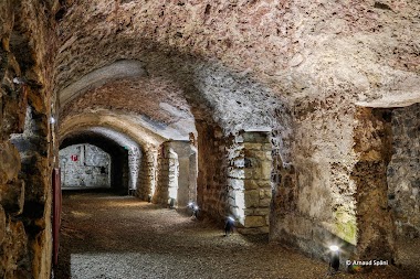 Roman Granary Museum