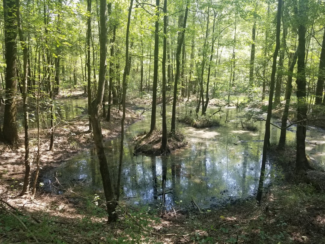 Congaree Creek Heritage Preserve