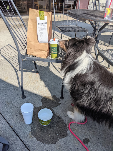 Sandwich Shop «Panera Bread», reviews and photos, 2209 Cloverdale Ave, Winston-Salem, NC 27103, USA