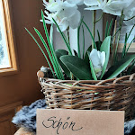 Photo n°6 de l'avis de Axel.a fait le 12/06/2022 à 07:39 sur le  Gasthof Zum Wirt à Neukirchen beim Heiligen Blut