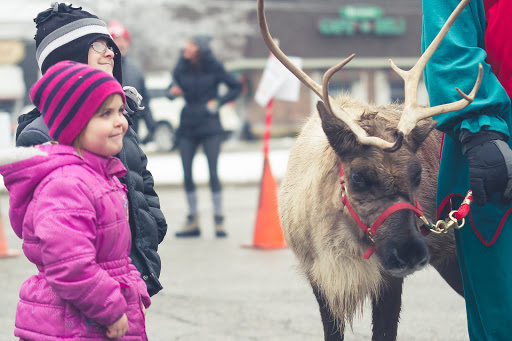 Flower Market «The Gateway», reviews and photos, 7150 N Main St, Village of Clarkston, MI 48346, USA
