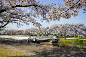 Minuma Park image