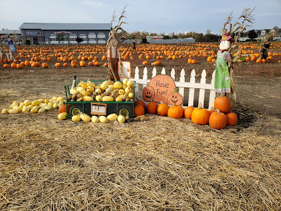 Frazier Farms pumpkin patch