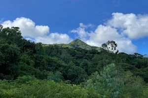 Viewpoint Chamarel ( Carpark) image