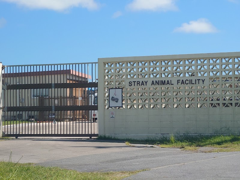 Karing Kennels Stray Animal Facility