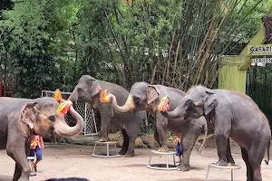 Elephant Show image