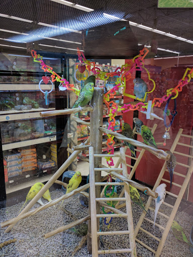 Pet Supply Store «Petco Animal Supplies», reviews and photos, 1624 Governors Square Blvd, Tallahassee, FL 32301, USA