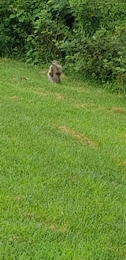 Park «Fairland Regional Park», reviews and photos, 13950 Old Gunpowder Rd, Laurel, MD 20707, USA