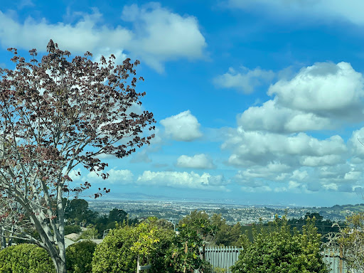 Hayward Public Library image