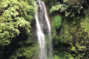 Montagne D'Ambre nationalpark image