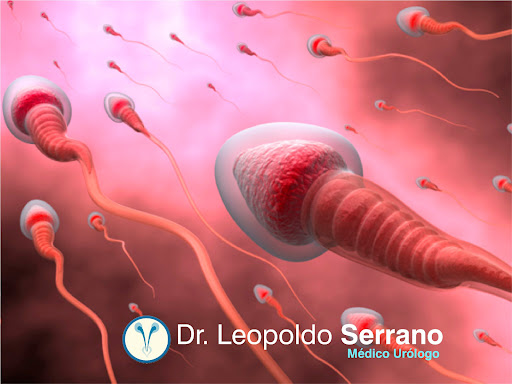 Urólogo en Torreón - Dr. Leopoldo Serrano Ortega