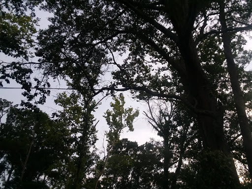 Country Club «Dothan Country Club», reviews and photos, 200 S Cherokee Ave, Dothan, AL 36301, USA