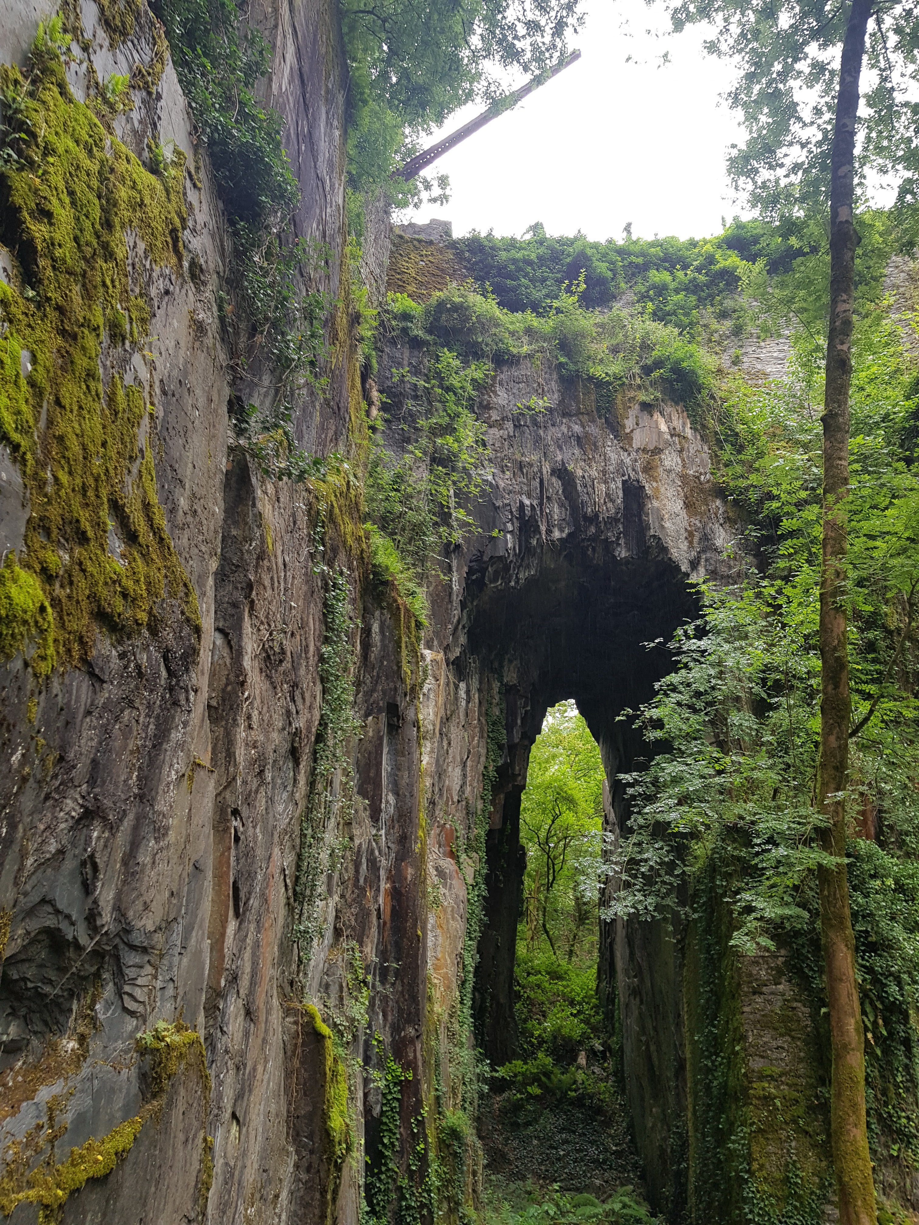 Photo n° 5 de l'avis de Nathalie.a fait le 04/07/2021 à 17:17