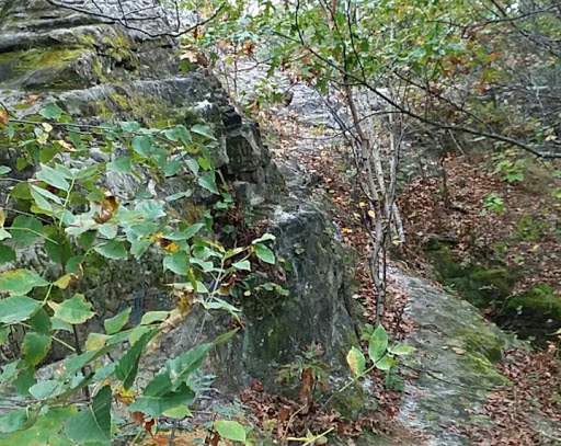 Nature Preserve «Chimney Rock Scientific and Natural Area (SNA)», reviews and photos, Joan Ave, Hastings, MN 55033, USA