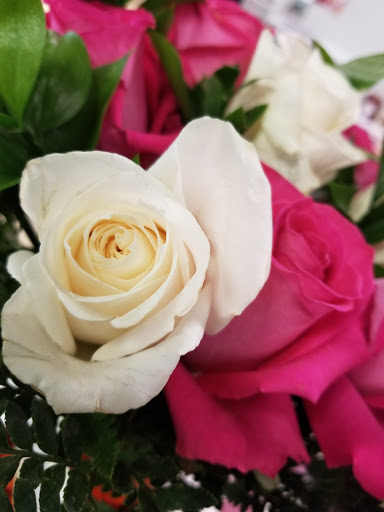 Florist «Dick Adgate Florist», reviews and photos, 2300 Elm Rd NE, Warren, OH 44483, USA