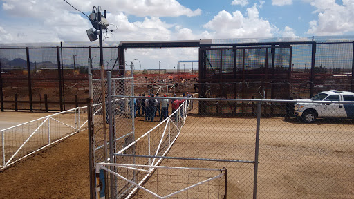 Cattle farm El Paso