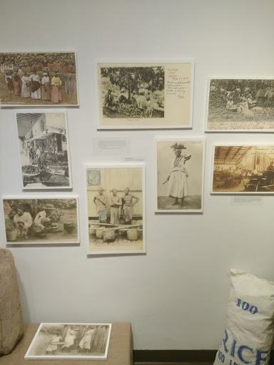 Museum «West Baton Rouge Museum», reviews and photos, 845 N Jefferson Ave, Port Allen, LA 70767, USA