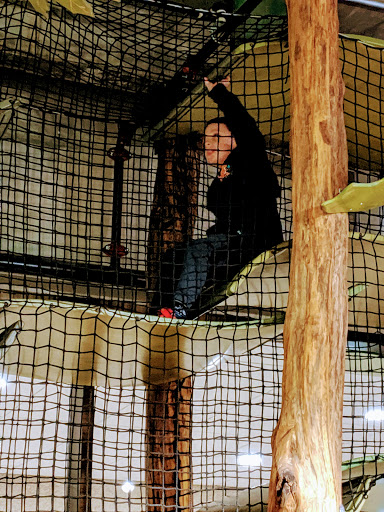 Science Museum «Asheville Museum of Science», reviews and photos, 43 Patton Ave, Asheville, NC 28801, USA