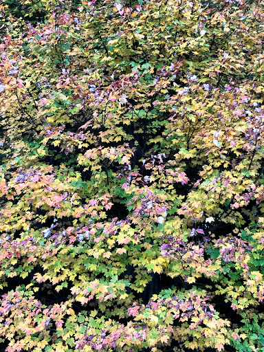 Park «Ellsworth McAfee Park», reviews and photos, 363 South St, Northborough, MA 01532, USA