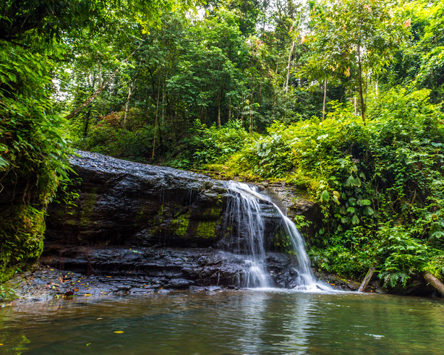 Cascada de Mashunts - Taisha