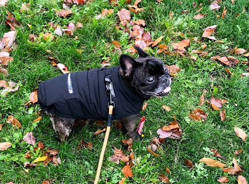 Pet Supply Store «Mud Bay», reviews and photos, 2611 California Ave SW, Seattle, WA 98116, USA