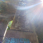 Photo n° 8 de l'avis de Ayvy. fait le 17/05/2023 à 12:52 pour Parc de l'Île de Brunoy à Brunoy