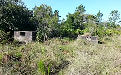 Wild Turkey Strand Preserve image