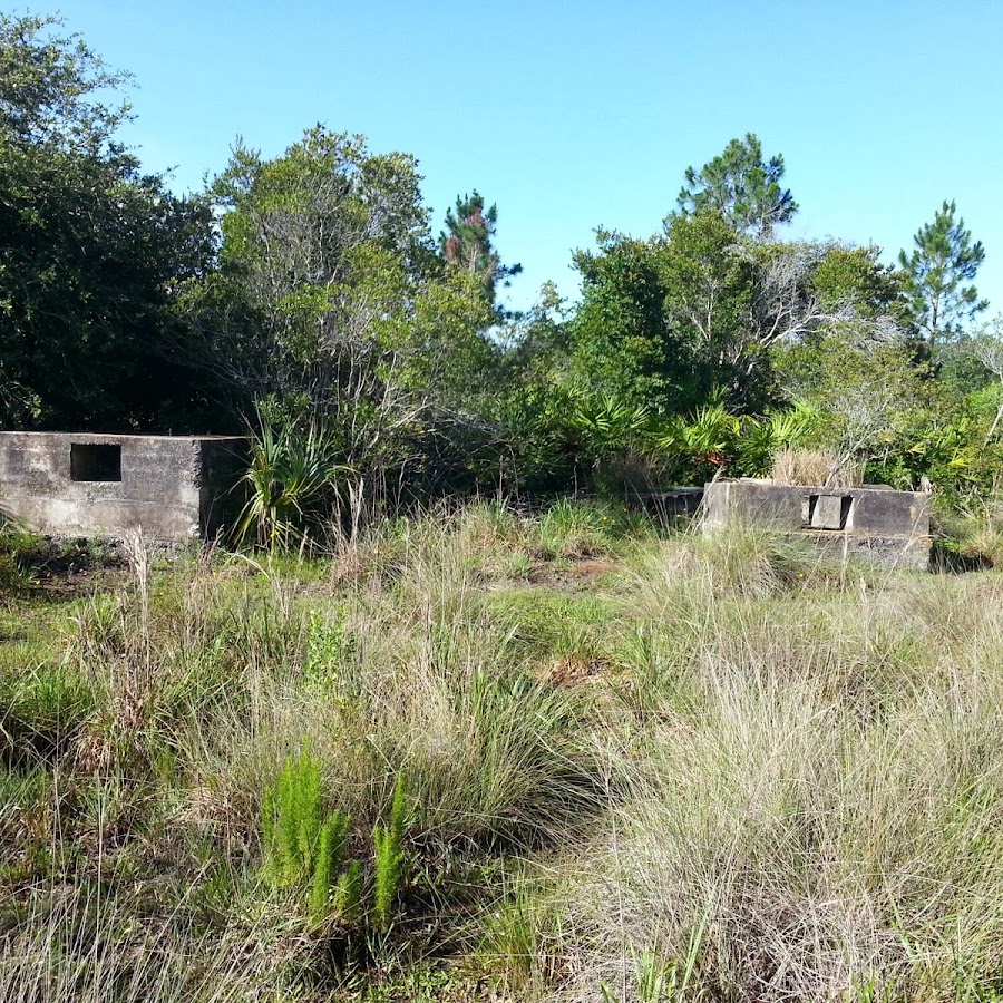 Wild Turkey Strand Preserve