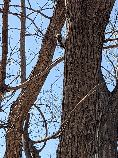 Park «Marshall Terrace Park», reviews and photos, 2740 Marshall St NE, Minneapolis, MN 55418, USA