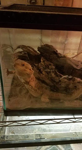 Zoo «Cricket Hollow Zoo», reviews and photos, 1512 210th St, Manchester, IA 52057, USA