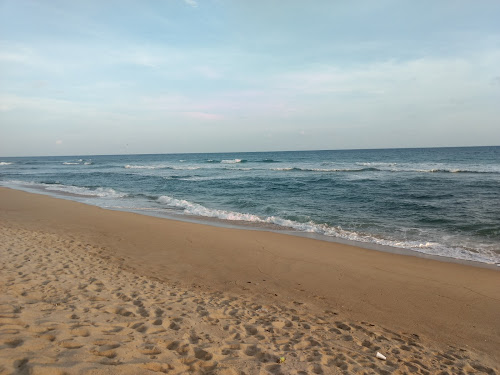Playa Los Zacatales photo #2
