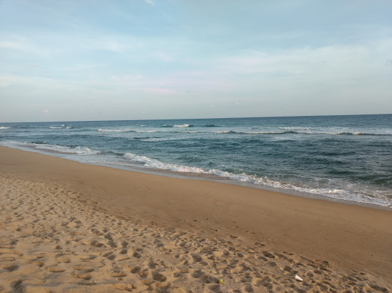 Playa Los Zacatales