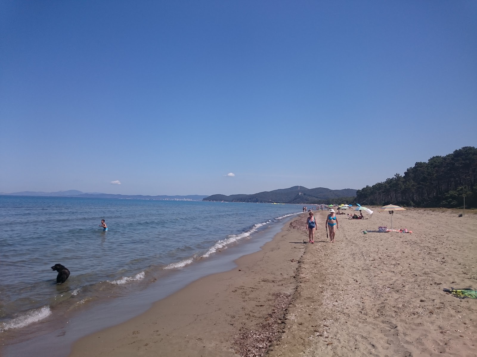 Punta Ala beach photo #8