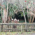 Photo n°9 de l'avis de pietro.� fait le 01/12/2021 à 16:54 sur le  Parc Gallorose à Loc. Cedrino