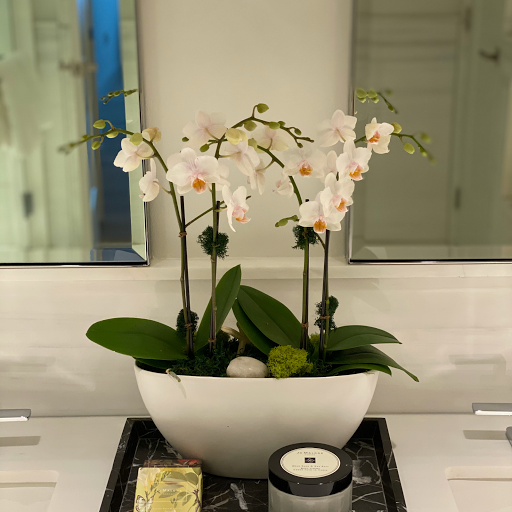 Florist «Polk Street Florist», reviews and photos, 1718-A Polk St, San Francisco, CA 94109, USA