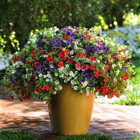 Garden Center «Nanticoke Gardens», reviews and photos, 1543 Union Center Maine Hwy, Endicott, NY 13760, USA