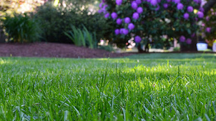 Moore’s Lawn Maintenance