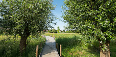 Parc des Étangs à Saulxures-lès-Nancy