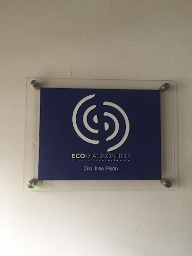 Ecodiagnóstico. Ecografia Veterinaria - Ciudad de la Costa