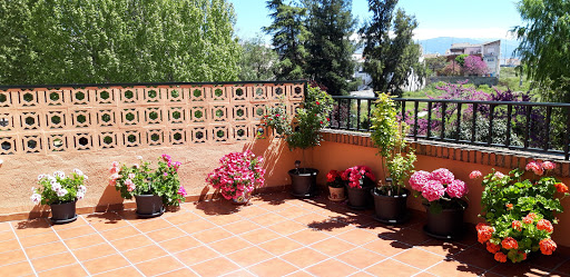 Centro jardineria Granada