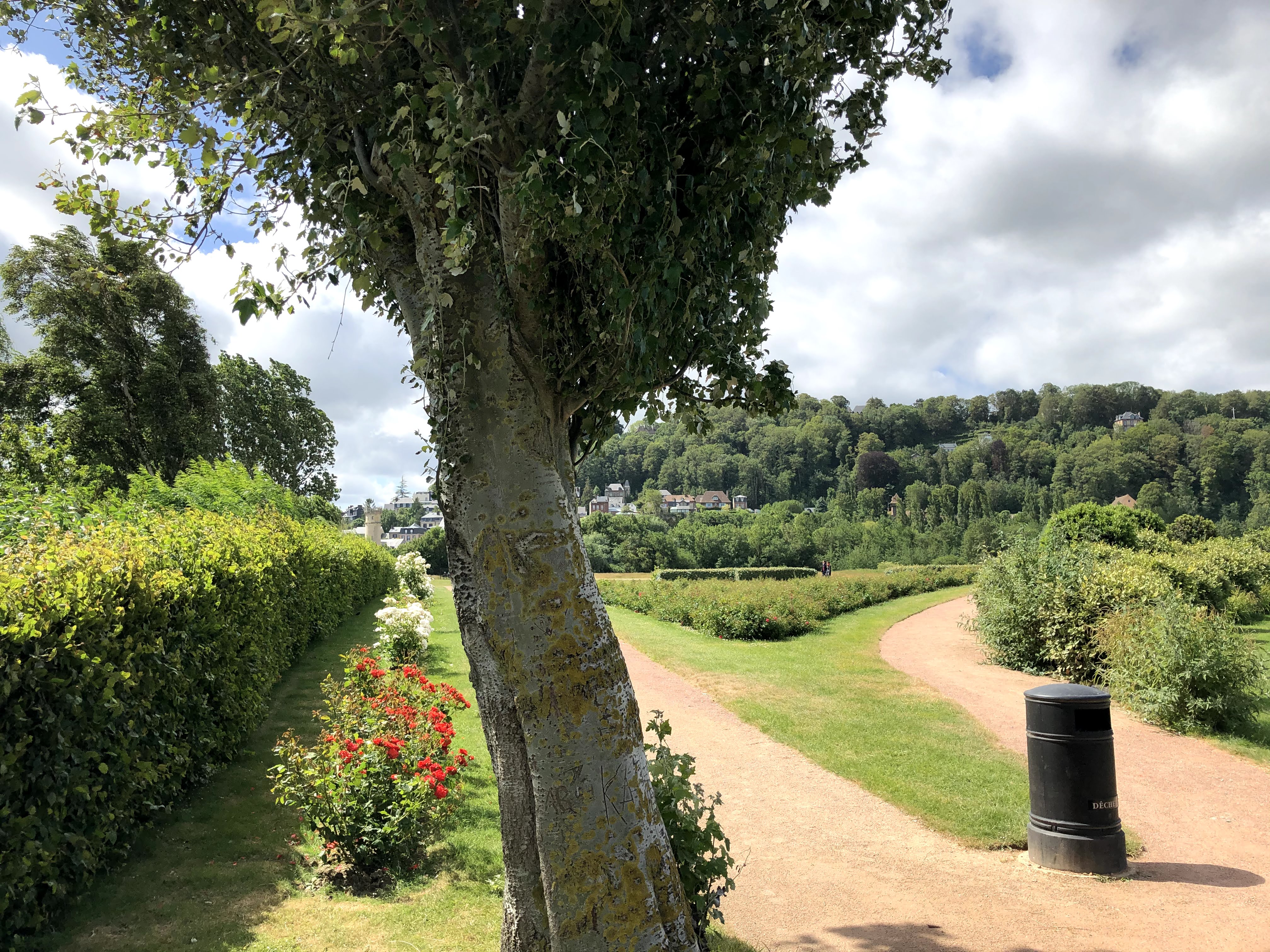 Photo n° 5 de l'avis de Anouar.a fait le 16/06/2020 à 06:59