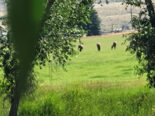 Science Museum «Museum of the Rockies», reviews and photos, 600 W Kagy Blvd, Bozeman, MT 59717, USA
