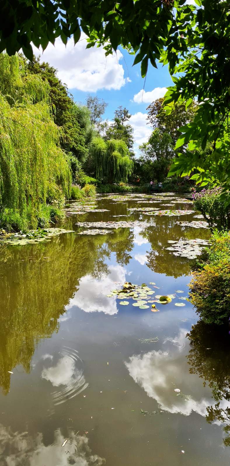 Photo n° 5 de l'avis de Onerai. fait le 29/07/2020 à 21:56