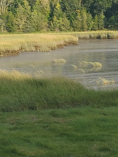 Park «Bare Cove Park», reviews and photos, Bare Cove Park Dr & Fort Hill St, Hingham, MA 02043, USA